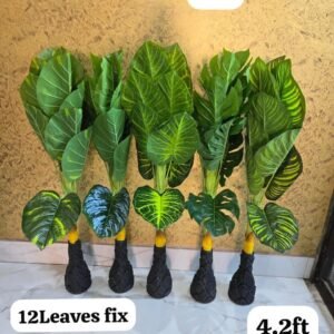 12 leaf