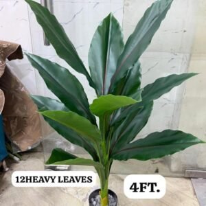 12 heavy leaf